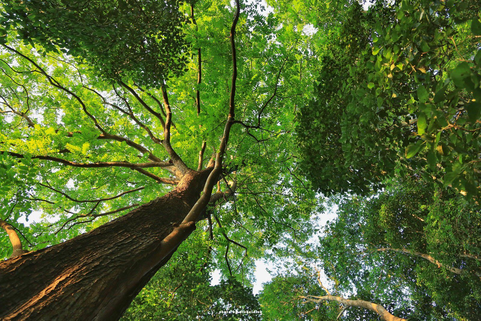 天等小记-登一座山爱一座城看一片天等日夕晨