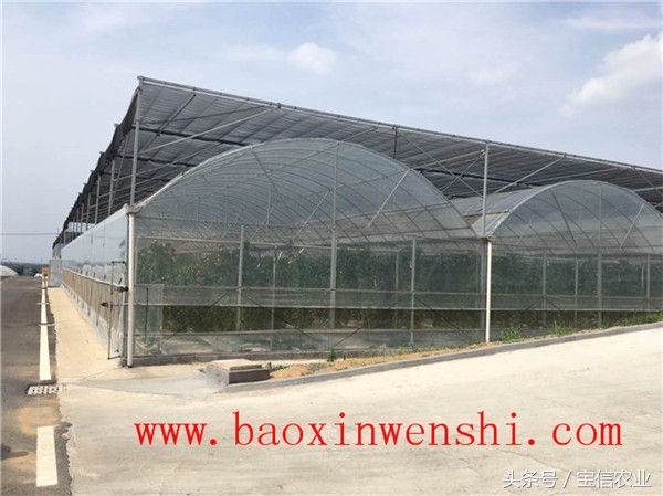 大型薄膜温室大棚设计,高端薄膜温室大棚