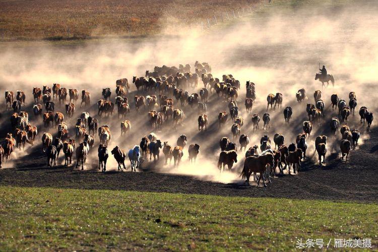 内蒙古大草原骑马狂奔照片,草原天堂写真