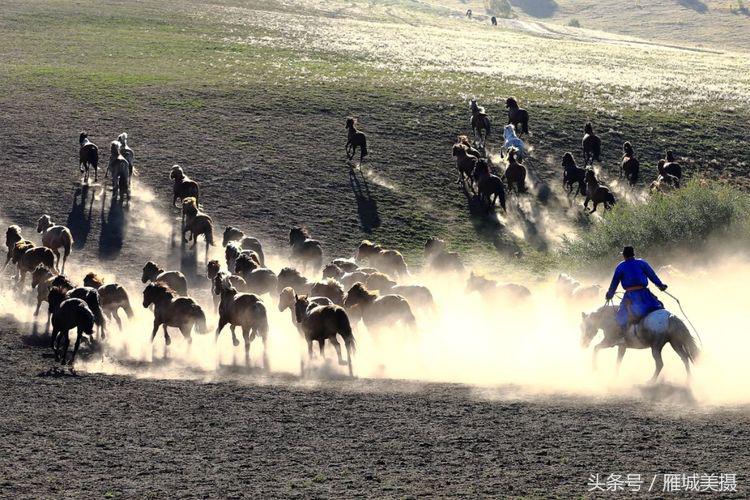 内蒙古大草原骑马狂奔照片,草原天堂写真