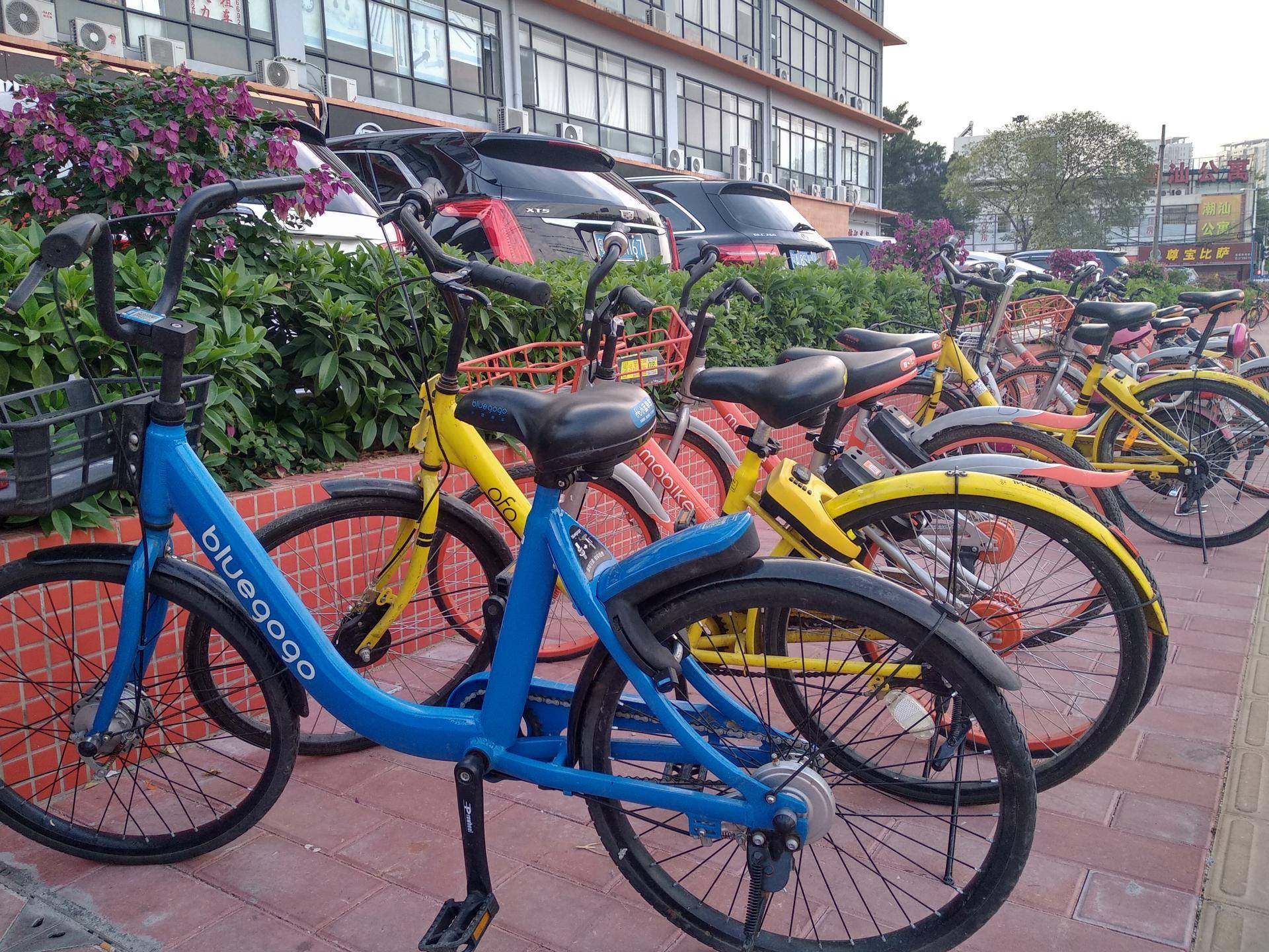 红米5plus和魅蓝note6,红米note5与魅蓝note6拍照对比