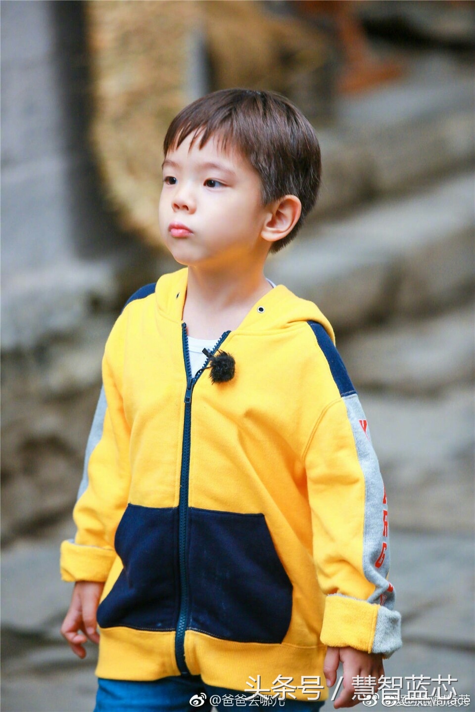 爸爸去哪儿第五季嗯哼大王,爸爸去哪儿嗯哼刚出现视频