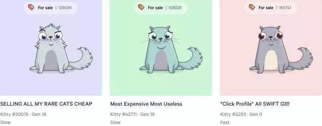 全球最贵29只猫,最贵的猫10万一只