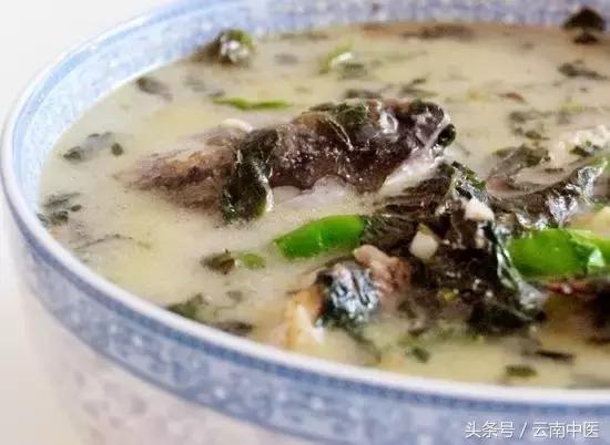 紫苏怎么用效果最好,紫苏越来越绿