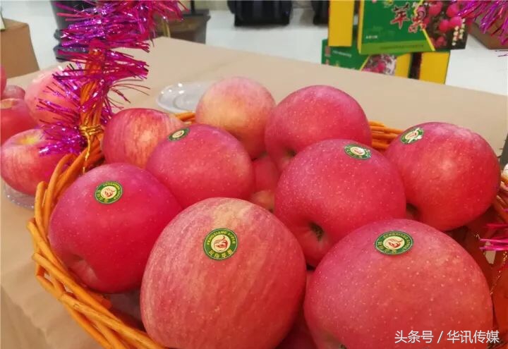 陕西凤翔苹果品种,陕西凤翔特产苹果