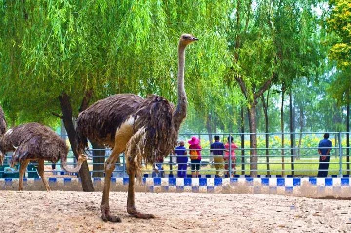 西安适合晚上逛的免费景区,最新西安免费的50个景点预约