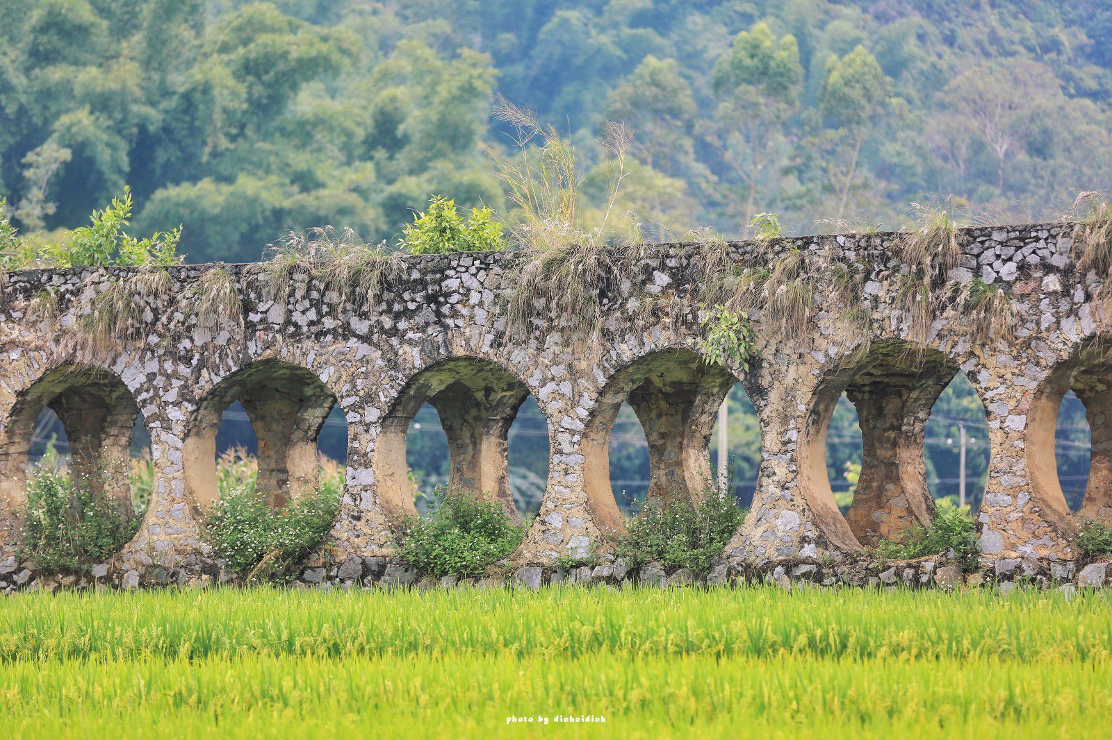 天等小记-登一座山爱一座城看一片天等日夕晨