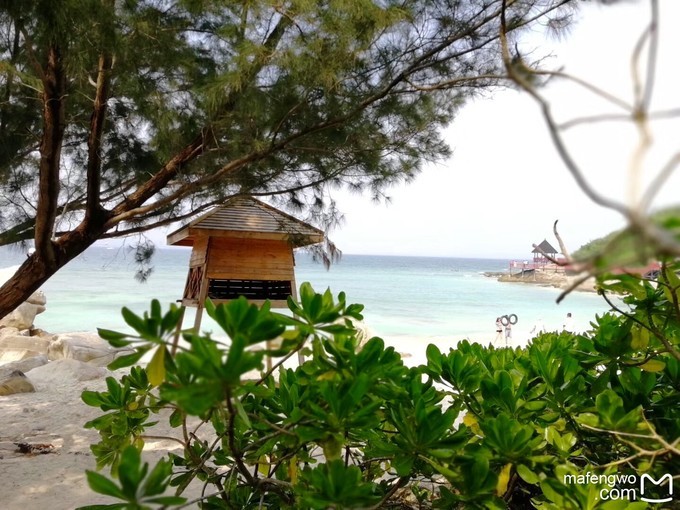 在冬季里享受一下三亚夏日的海风,来享受三亚夏日与海风
