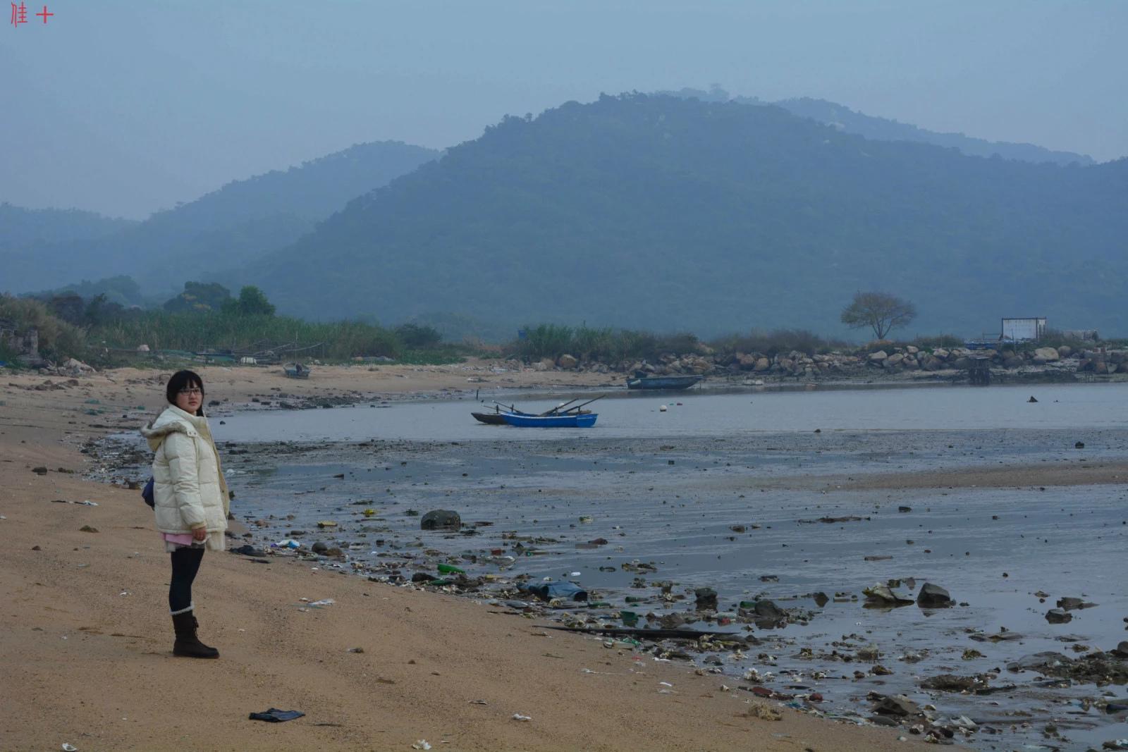 珠海市淇澳岛旅游攻略,珠海淇澳岛一日游攻略白石街