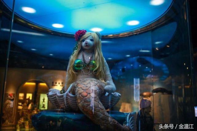 万达泰迪熊亲子乐园,中国哪里有泰迪熊之家博物馆