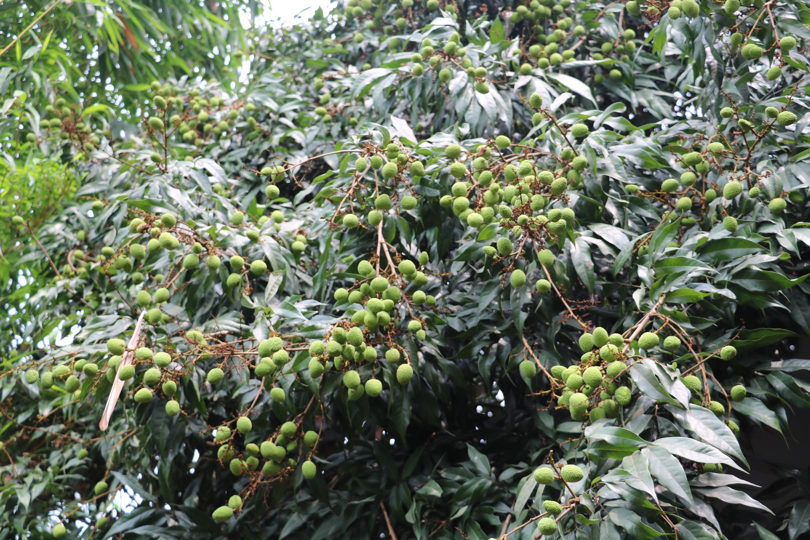 娴风彔浠戝ご,娴风彔鏂版粯浠戝ご