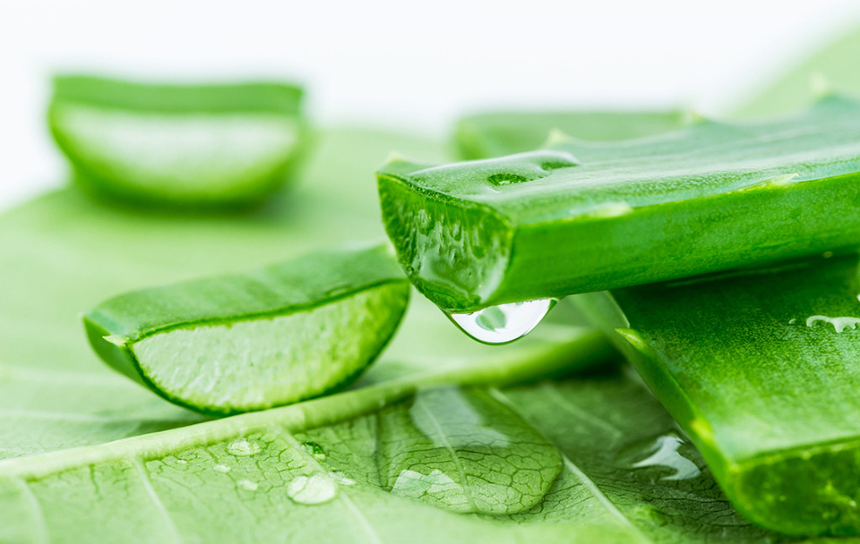 自然共和国芦荟胶怎么样?中国人“人气之王”火爆原因!