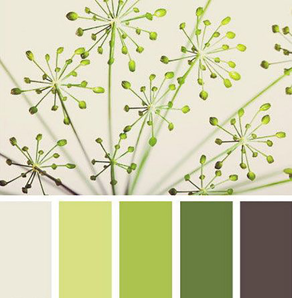 大自然乐园现状,自然乐园与自然共和国有什么区别