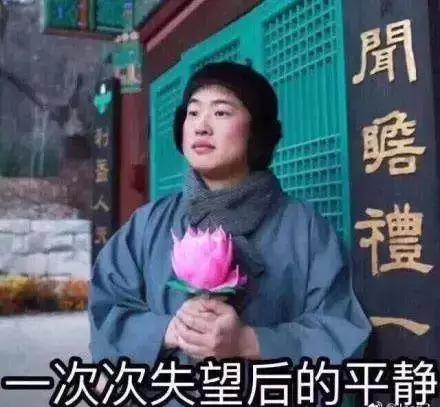 佛系青年摆烂青年什么意思,丧文化佛系文化