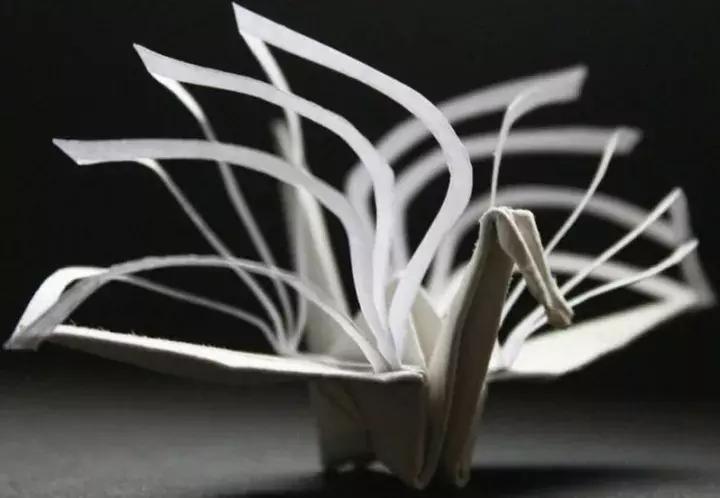 他用3个月时间，折叠了1000只千纸鹤，送给了他最亲爱的姑娘