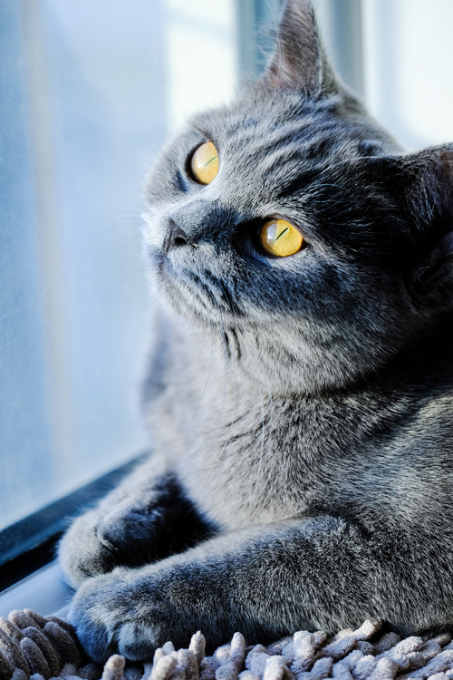 富士xf50mmf2评测,富士xf80mmf2.8