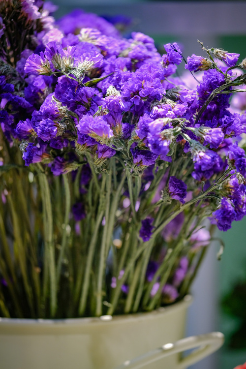 富士xf50mmf2评测,富士xf80mmf2.8