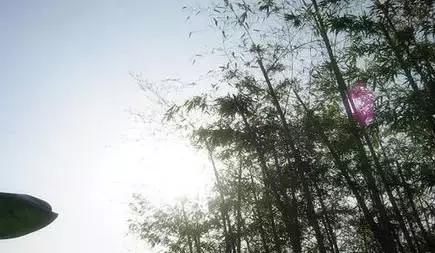 冬天洗车冻住反光镜了怎么办,冬天洗车容易结冰该怎么办