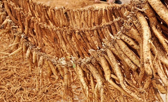 毕节的这些特色农产品你都知道吗,毕节十大特产农产品