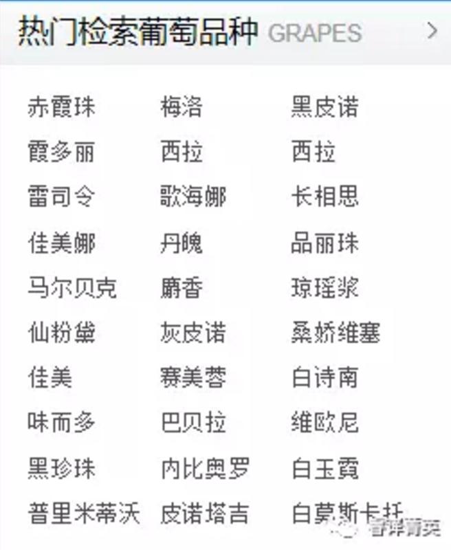 「睿译足迹」法兰西风情（二）：法国美酒