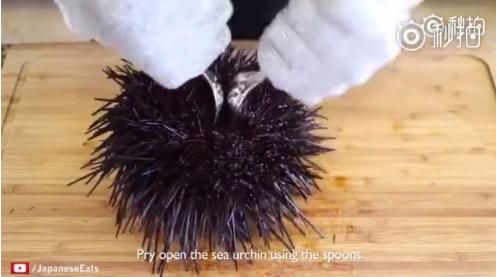 海胆能吃的部分是海胆的什么部位,吃海胆对男性的好处