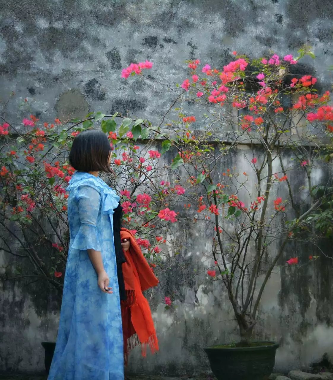 珠海市淇澳岛旅游攻略,珠海淇澳岛一日游攻略白石街