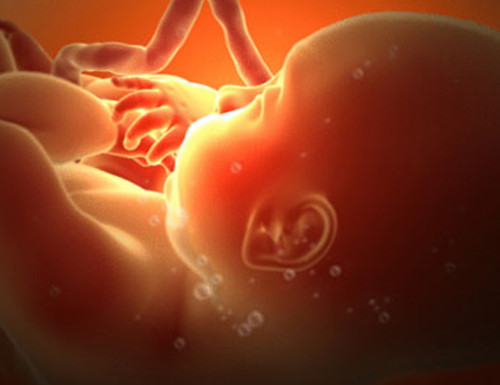 如何发现胎动异常,怎样知道胎动正常还是异常