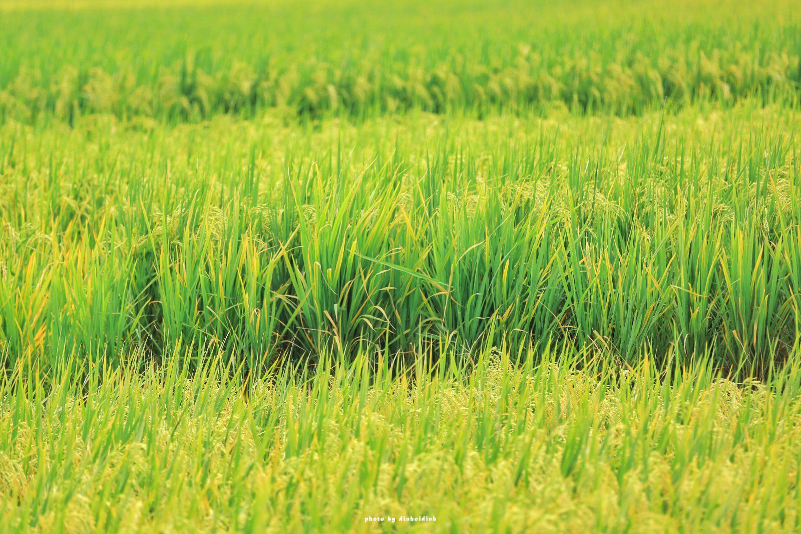 天等小记-登一座山爱一座城看一片天等日夕晨