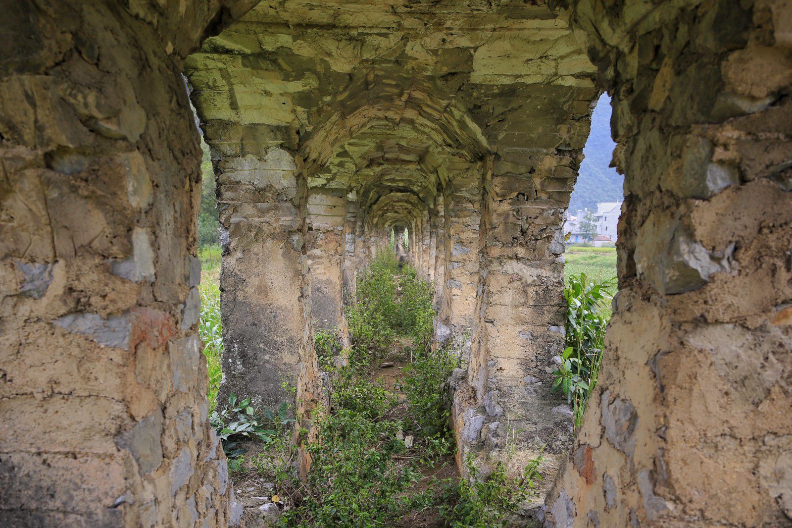 天等小记-登一座山爱一座城看一片天等日夕晨