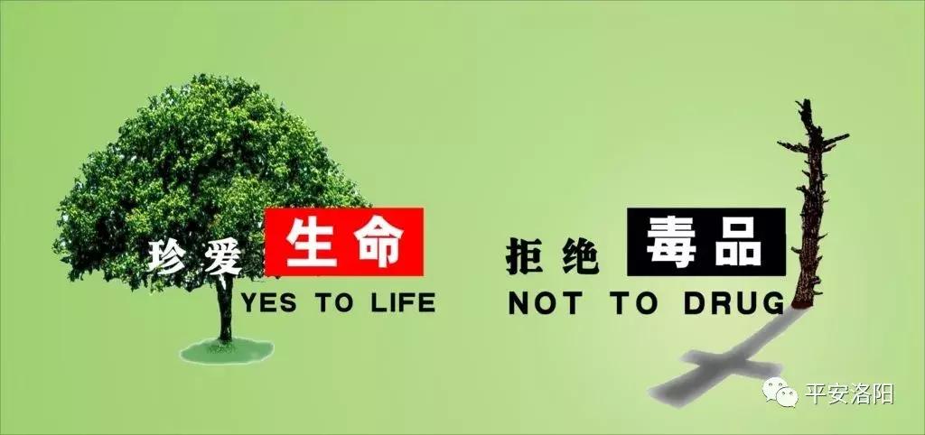 警方破获特大贩毒案190多人落网,城关公安破获一起特大贩毒案