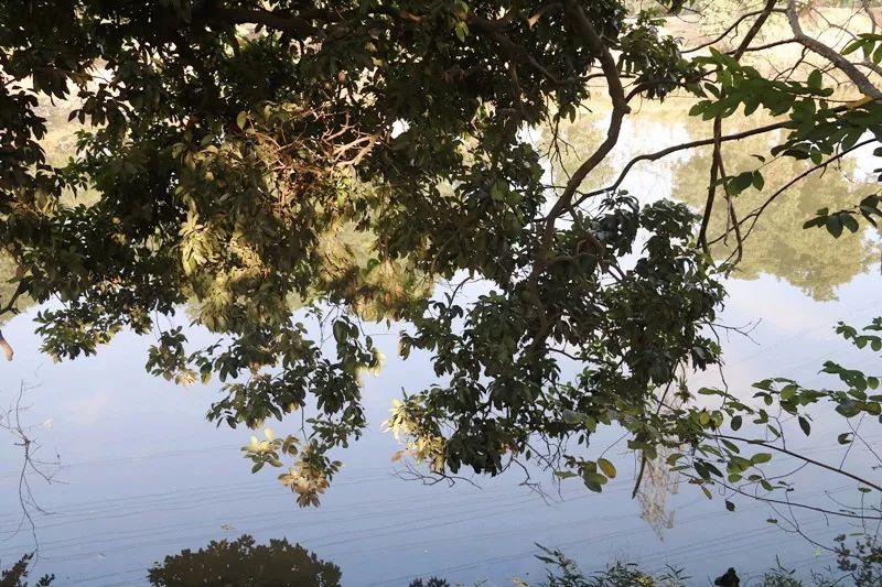 娴风彔浠戝ご,娴风彔鏂版粯浠戝ご