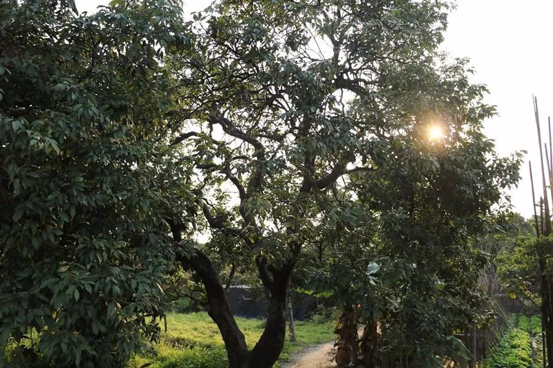 娴风彔浠戝ご,娴风彔鏂版粯浠戝ご