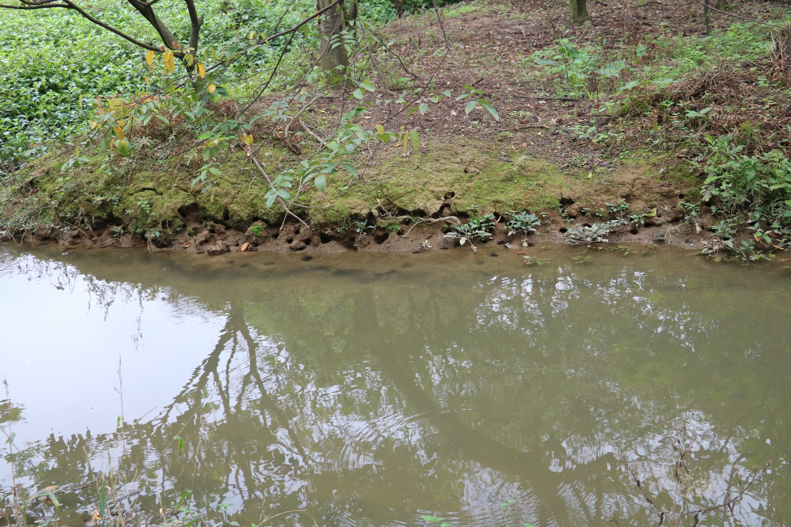 娴风彔浠戝ご,娴风彔鏂版粯浠戝ご
