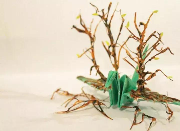 他用3个月时间，折叠了1000只千纸鹤，送给了他最亲爱的姑娘