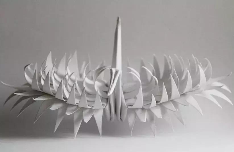 他用3个月时间，折叠了1000只千纸鹤，送给了他最亲爱的姑娘