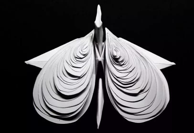 他用3个月时间，折叠了1000只千纸鹤，送给了他最亲爱的姑娘