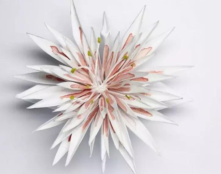 他用3个月时间，折叠了1000只千纸鹤，送给了他最亲爱的姑娘