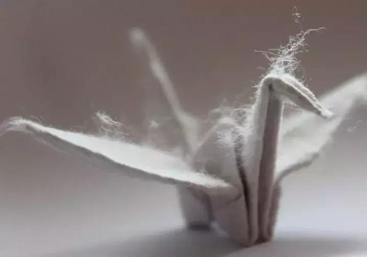 他用3个月时间，折叠了1000只千纸鹤，送给了他最亲爱的姑娘