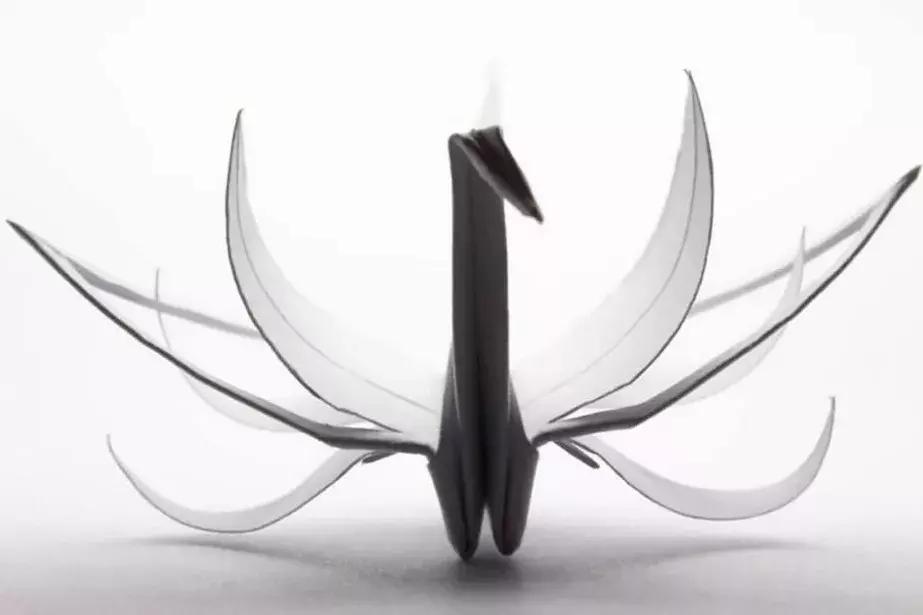 他用3个月时间，折叠了1000只千纸鹤，送给了他最亲爱的姑娘