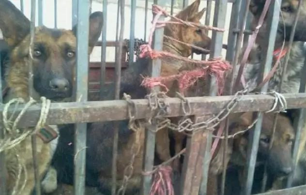 在你眼里再好的东西都是一文不值,在你眼里一文不值在别人眼里是宝