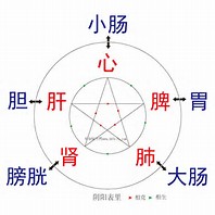 中医治疗白血病真实感受,中医对白血病的病因分析