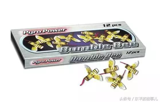 今天第一场雪视频,今天的第一场雪视频