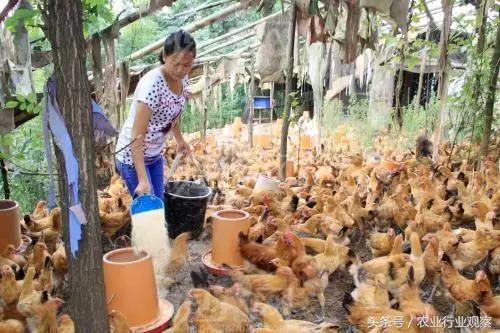 农业已成创业风口!2018年迎来6大农业红利