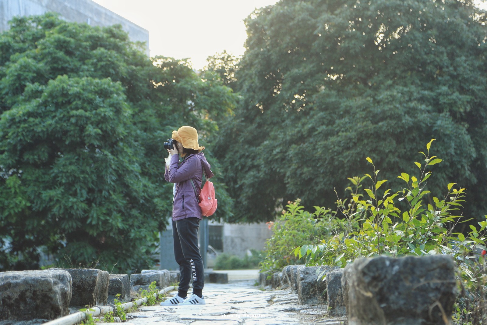 天等小记-登一座山爱一座城看一片天等日夕晨