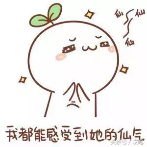 mfi认证跟苹果原装有区别吗,苹果有必要一定买mfi认证的线么