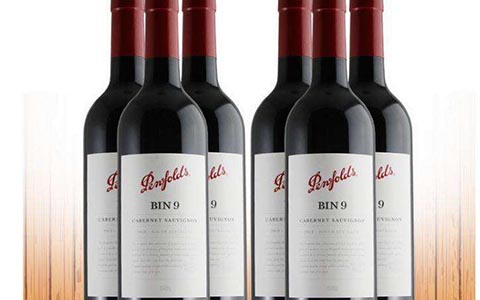 龙船和龙舟一样吗,奔富龙船副牌评测