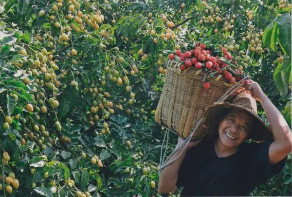 娴风彔浠戝ご,娴风彔鏂版粯浠戝ご
