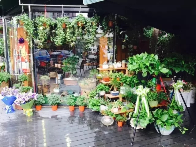 在贵州做个花房姑娘，打发慵懒时光！