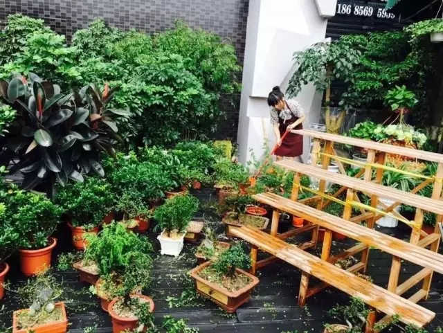 在贵州做个花房姑娘，打发慵懒时光！