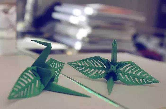 他用3个月时间，折叠了1000只千纸鹤，送给了他最亲爱的姑娘